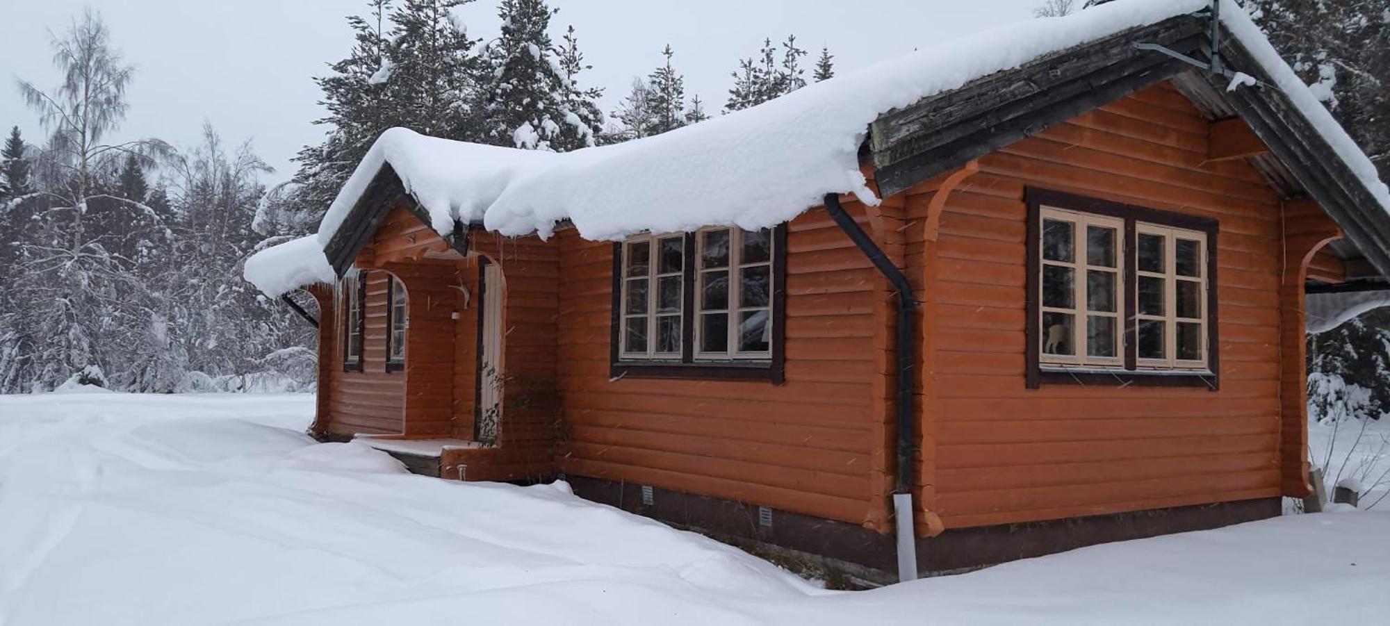B&B Camp Aengra Lassekrog Zewnętrze zdjęcie